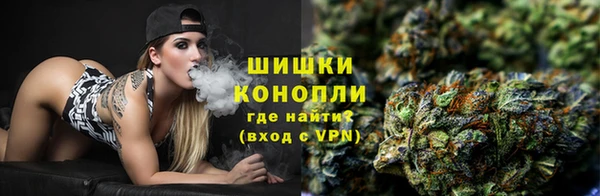 бошки Коряжма