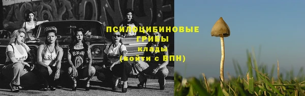 бошки Коряжма