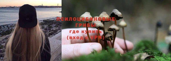 кристаллы Корсаков