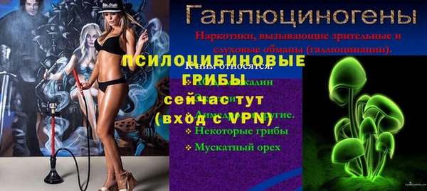 прущая мука Михайлов