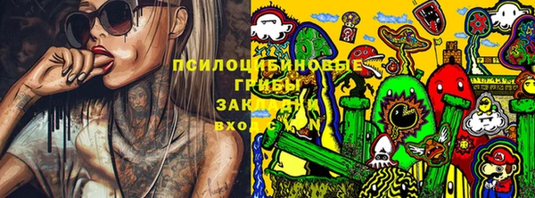 бошки Коряжма