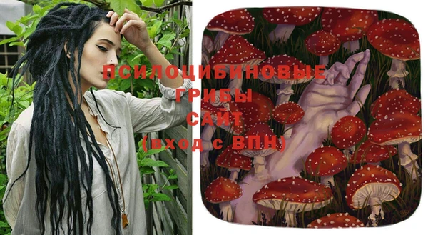 бошки Коряжма