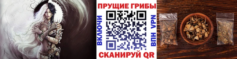даркнет сайт  Чаплыгин  Псилоцибиновые грибы Cubensis 